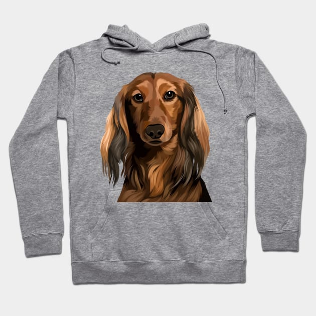 Long Haired Dach Illustration Hoodie by Heywids